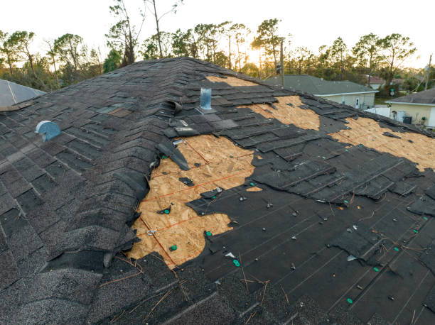 Best Roof Leak Repair  in Kapaau, HI